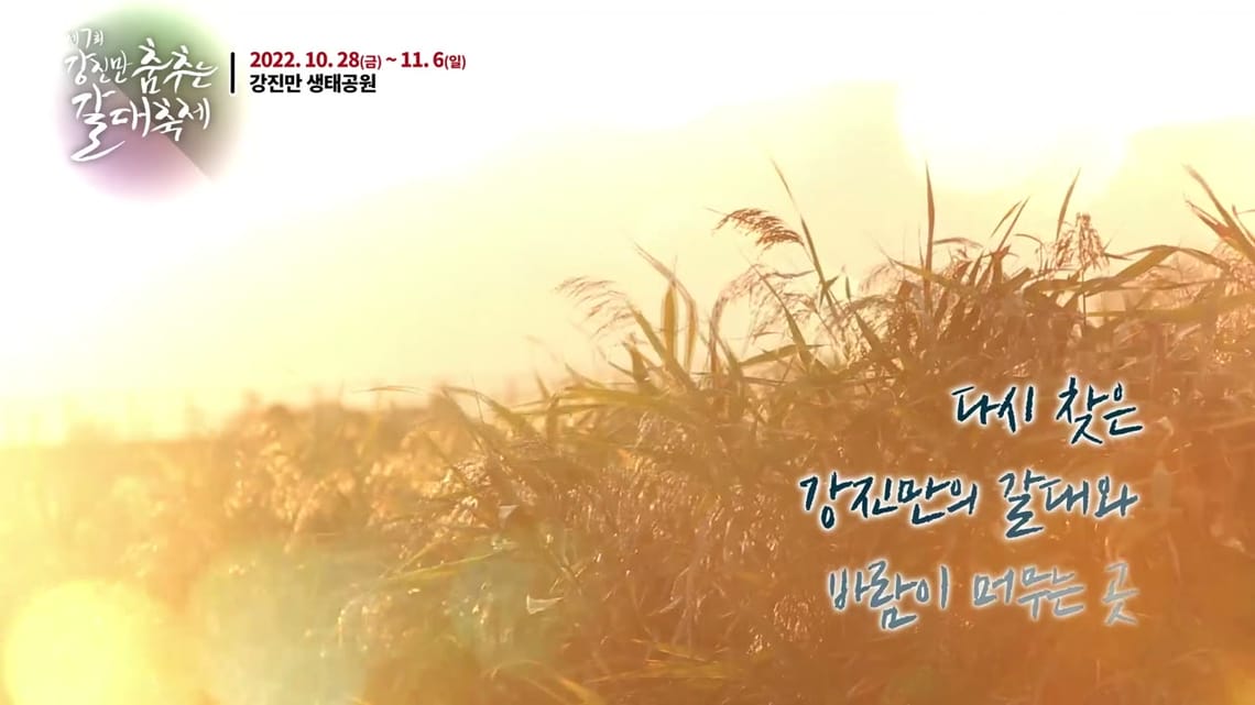 강진갈대축제 SPOT
